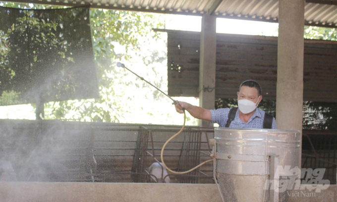 Farmers in Ba Ria - Vung Tau province all treat the cage environment carefully before starting to restock in preparation for the market at the end of the year. Photo: Le Binh.