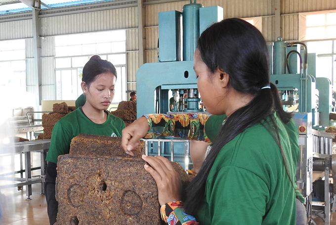 Cambodian workers working at the Chu Se Kampong Thom Rubber factory. Photo: Thanh Son.