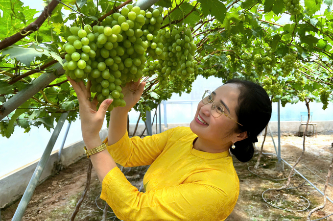 Ninh Thuận chú trọng công tác xúc tiến thương mại tiêu thụ nông sản, phát triển sản phẩm OCOP. Ảnh: TL.