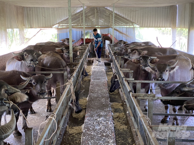 Ngành nông nghiệp An Giang đẩy mạnh tập huấn, nâng cao kiến thức cho nông dân, HTX và doanh nghiệp. Ảnh: Lê Hoàng Vũ.