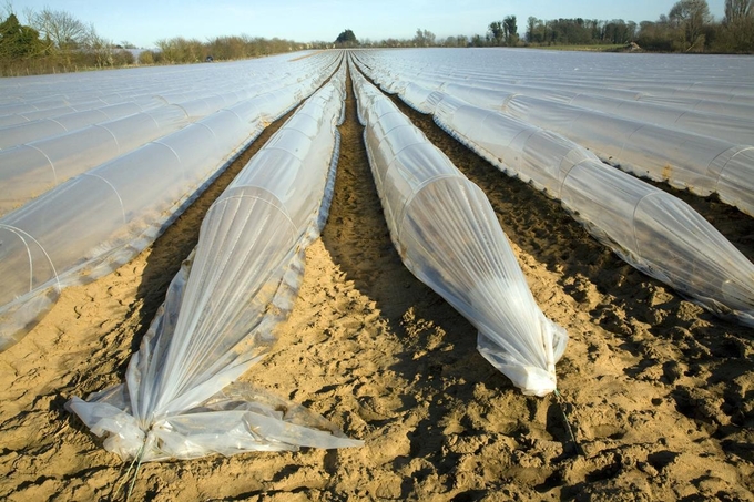 Plastic is widely used in agricultural from insulation to mulch and piping.