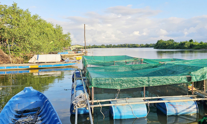 Đoạn nhánh sông Kiến Giang nơi bà con thôn Phú Ninh nuôi cá chình. Ảnh: T. Phùng.