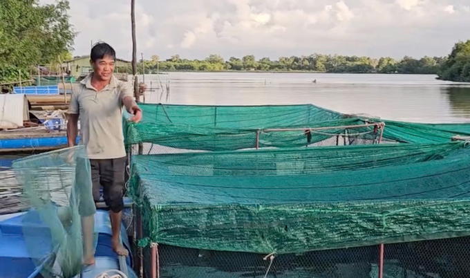 Ông Phạm Văn Hán: 'Cá chính được bà con nuôi 2 năm mới xuất bán và cho lãi khoảng 1,2 triệu đồng mỗi con'. Ảnh: T. Đức.