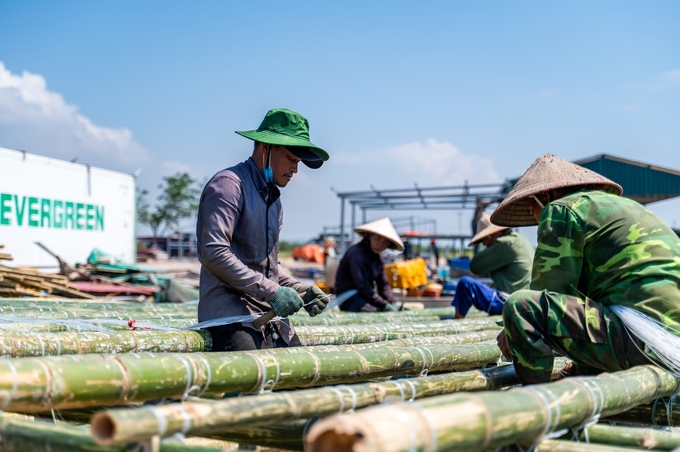 Bà con ngư dân Quảng Yên đóng lại bè, chuẩn bị xuống giống hàu vụ mới. Ảnh: Cường Vũ.