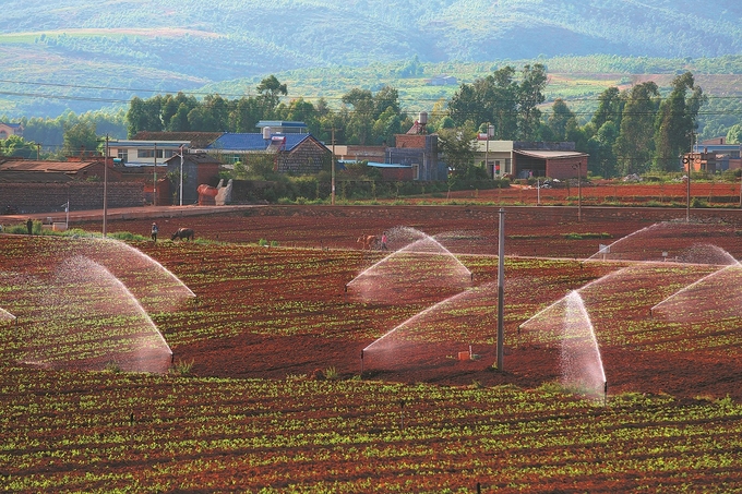 A field is irrigated through the project in the Bingjian irrigation area.