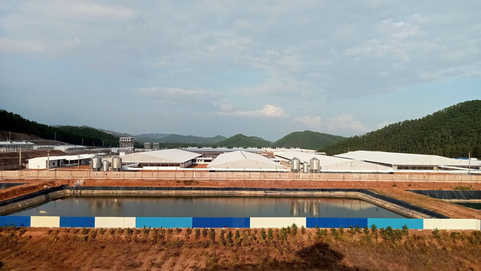 The Greentech high-tech pig farm has a total investment of over 600 billion VND and covers an area of 45.2 hectares. Photo: Nguyen Thanh.