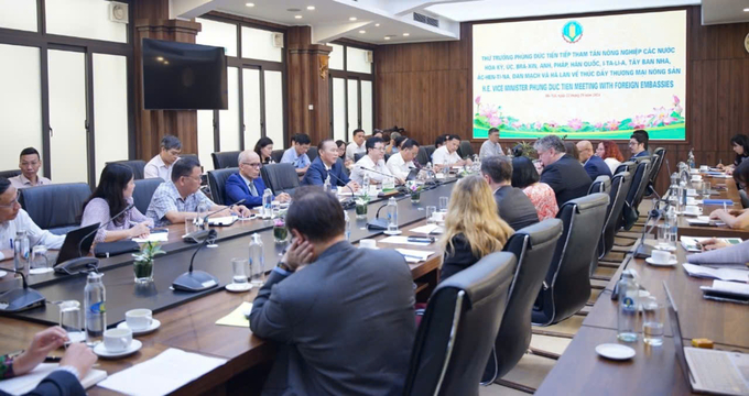 Agricultural attachés from various countries were clearly informed by the leadership of the Ministry of Agriculture and Rural Development (MARD) and the Department of Animal Health about the regulations for exporting animals and animal products to Vietnam. Photo: Linh Linh.