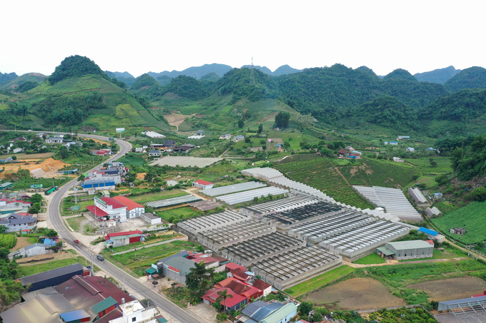 Vùng nông sản bạt ngàn trên cao nguyên Mộc Châu. Ảnh: Hoàng Anh.