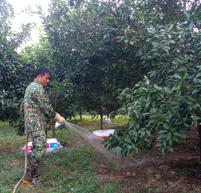 Vùng đồi hoang đã được ông Nghiệp cải tạo thành vườn cây ăn quả trù phú. Ảnh: Quốc Toản.