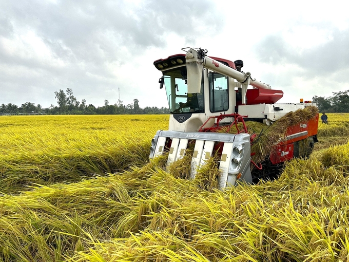 Qua rà soát, tỉnh Hậu Giang xác định diện tích đủ tiêu chí thực hiện đề án, thực hiện đăng ký vùng sản xuất lúa thí điểm với diện tích 1.466ha, với 916 hộ tham gia. Ảnh: Kim Anh.