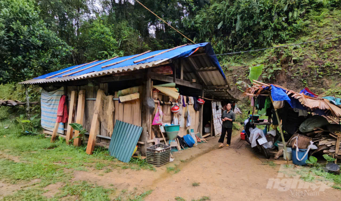 Nhiều hộ dân phải sống trong căn lều, lán tạm để tránh sạt lở đất. Ảnh: Quốc Toản.