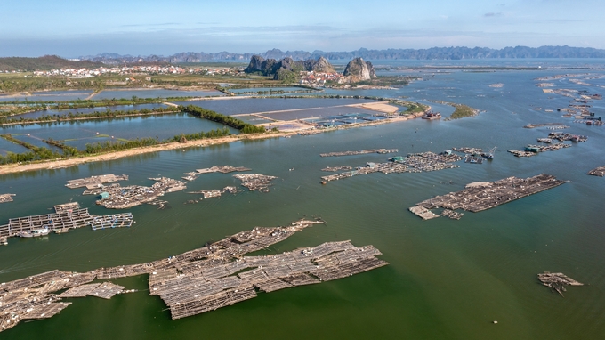 The fisheries industry in Quang Yen town was heavily affected by Typhoon No. 3. Photo: Nguyen Thanh.