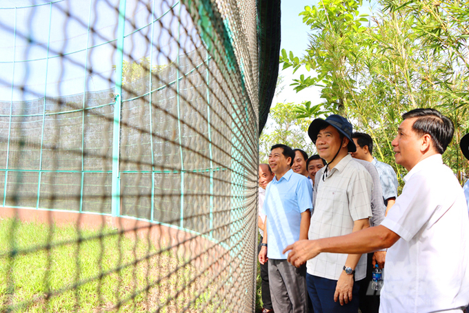 Mr. Pham Thien Nghia (center), Chairman of the Dong Thap People’s Committee, inspects the enclosure for two red-crowned cranes. Photo: Le Hoang Vu.