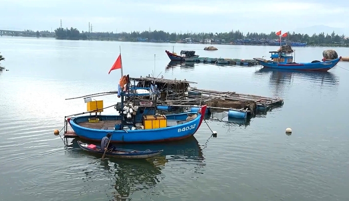 Do độ sâu luồng lạch không đảm bảo nên các tàu cá lớn không thể ra vào cảng cá sông Trà Bồng. Ảnh: L.K.