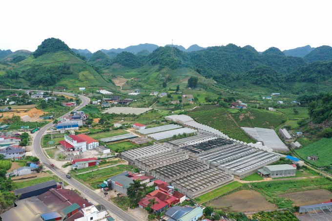 Vast agricultural product area on the Moc Chau plateau. Photo: Hoang Anh.