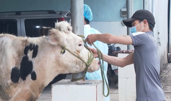 Công tác thương thảo, chỉ trả bồi thường đang được Công ty Navetco tích cực triển khai. Ảnh: PC.