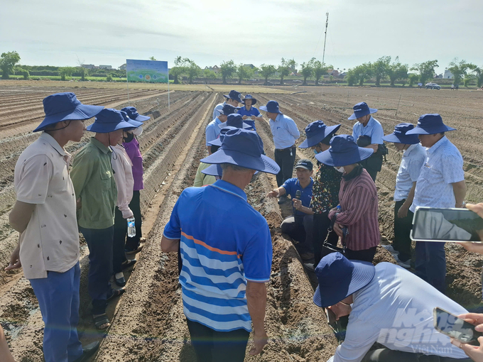 Trong khuôn khổ hội thảo, đông đảo nông dân các tỉnh Đồng bằng sông Hồng tới tham quan, học tập kinh nghiệm chăm sóc khoai tây ứng dụng công nghệ tiên tiến tại xã Thái Tân, huyện Nam Sách (Hải Dương). Ảnh: Trung Quân.