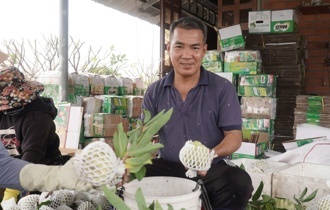 Mãng cầu sản xuất theo hướng hữu cơ của HTX Dịch vụ nông nghiệp Minh Trung (huyện Tân Châu, Tây Ninh). Ảnh: Trần Trung.