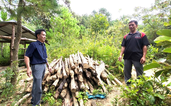 Sau khi được vận động, người dân đã tự nguyện tháo dỡ cây trồng trên đất dự án. Ảnh: ĐL. 