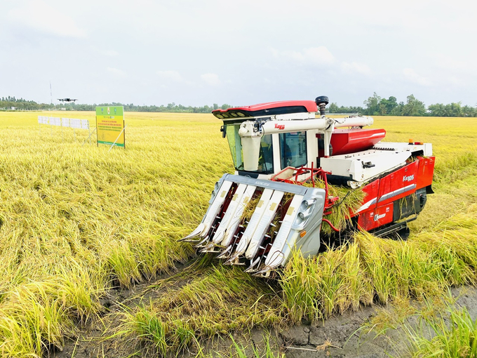 Farmers should be aware that applying more nitrogen fertilizer will increase N2O emissions, while using laser leveling technology can lead to increased CO2 emissions. Photo: Le Hoang Vu.