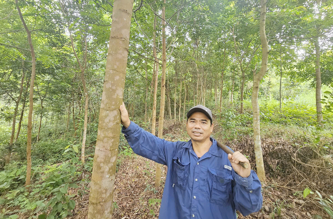 Ông Nguyễn Đức Sự: 'Trồng rừng bản địa như là của để dành có giá trị cho con cháu mai sau'. Ảnh: T. Đức.