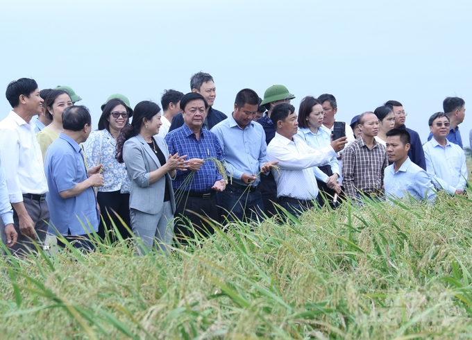 Đoàn công tác thăm cánh đồng ứng dụng cơ giới hóa của các đại điền tại huyện Vĩnh Bảo (Hải Phòng). Ảnh: Trung Quân.