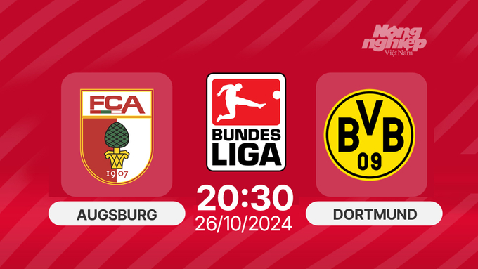 Nhận định, Trực tiếp Augsburg vs Dortmund, Bundesliga, 20h30 hôm nay 26/10