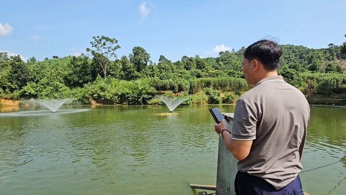 Một số hộ dân sử dụng máy cho ăn tự động và phun tạo oxy trên ao nuôi giúp cá chép giòn khoẻ mạnh, hạn chế dịch bệnh. Ảnh: H.Đ.