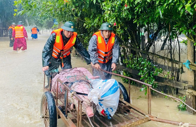 Huyện Lệ Thủy tổ chức di dời người dân ra khỏi vùng nguy hiểm. Ảnh: T. Đức.