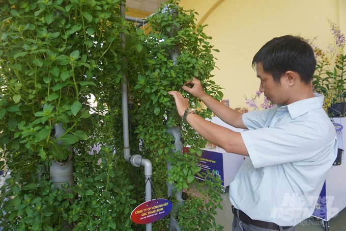 Ero-farm vegetable growing machine system using vertical aeroponics technology. Photo: Nguyen Thuy.