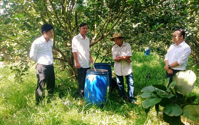 Đồng Nai đang định hướng phát triển nền nông nghiệp xanh và bền vững thông qua các giải pháp như tập huấn nông dân ứng dụng IMO vào sản xuất. Ảnh: Trần Trung.