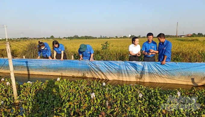 Anh Thái (thứ 2 từ phải sang) chia sẻ kinh nghiệm nuôi ốc nhồi cho thanh niên địa phương. Ảnh: Hải Tiến.