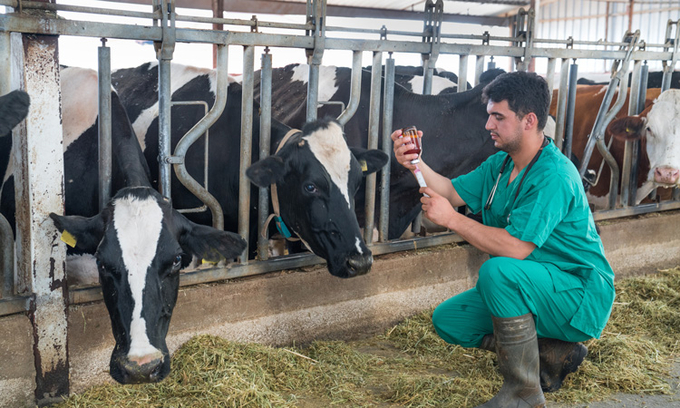 The veterinary industry needs to promote the import of new biotechnology products from abroad.