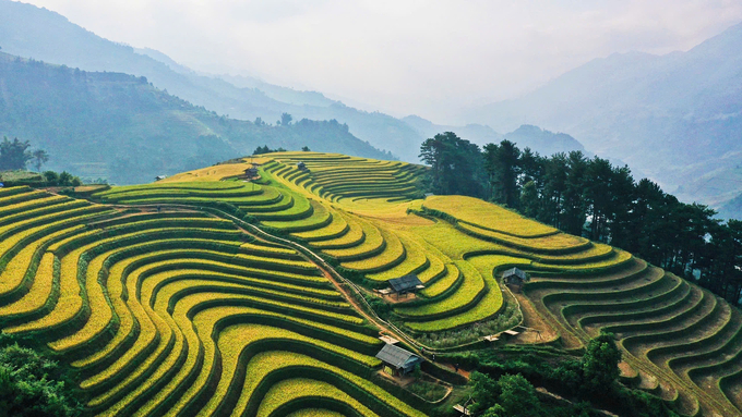 In recent years, tourism in Mu Cang Chai has grown rapidly, attracting many domestic and international tourists. Photo: Thanh Tien.