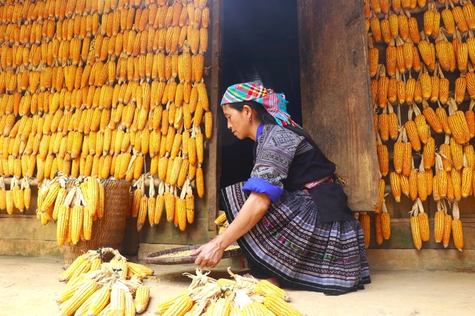 Yellow corn house is an appealing stop for many visitors. Photo: Thanh Tien.