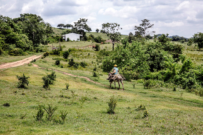 A farmer in Colombia.