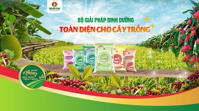 Ca Mau Fertilizer’s Bi Kip Vang is a creative and unique approach that has attracted significant farmers’ interest nationwide.