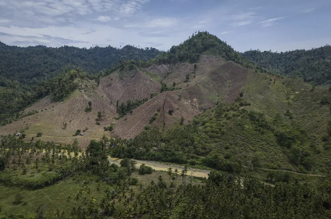 Deforestation is visible near several wood pellet production companies in Pohuwato, Gorontalo province, Indonesia, Tuesday, Oct. 22, 2024. 