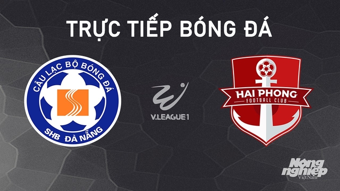 Trực tiếp bóng đá V-League 2024/25 giữa Đà Nẵng vs Hải Phòng hôm nay 28/10/2024