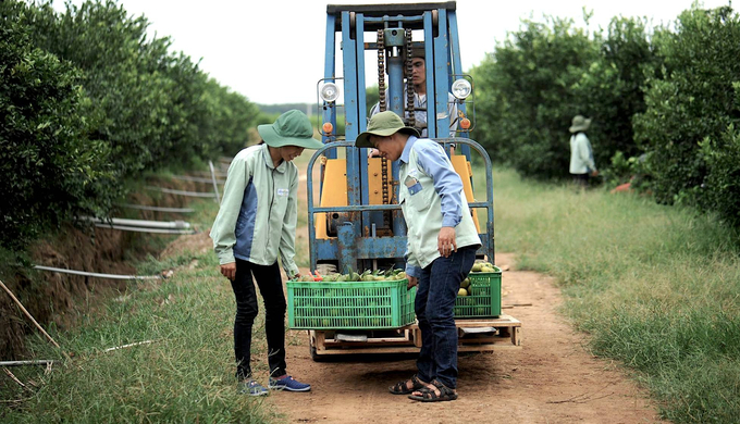 Bình Dương có thể tận dụng lượng chất thải sinh hoạt và công nghiệp để tái chế thành phân bón hoặc năng lượng sinh học hỗ trợ cho các hoạt động nông nghiệp tuần hoàn. Ảnh: NNVN.