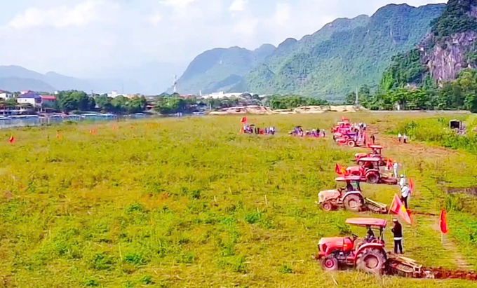 The fields before the start of the contest. Photo: T. Hieu.