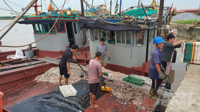 Một tàu cá cập cảng cá Quần Vinh. Ảnh: Kiên Trung.