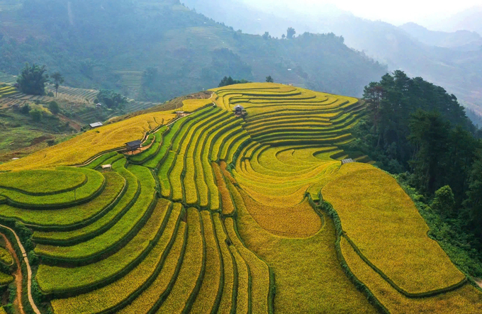 Terraced fields have a unique beauty each season, captivating tourists to explore and experience. Photo: Thanh Tien.