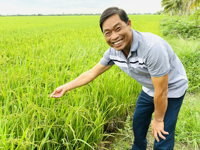 Nông dân tham gia mô hình của Đề án 1 triệu ha lúa rất phấn khởi vì giảm được chi phí đầu vào. Ảnh: Lê Hoàng Vũ.