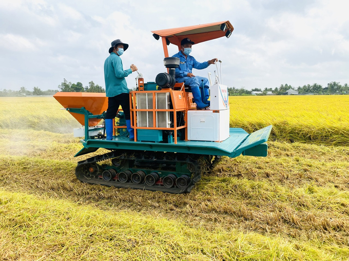 Mô hình canh tác lúa chất lượng cao và phát thải thấp sẽ được triển khai tại 8 huyện tại Đồng Tháp với tổng diện tích 1.325 ha, thực hiện liên tục trong 3 vụ tiếp theo. Ảnh: Lê Hoàng Vũ.