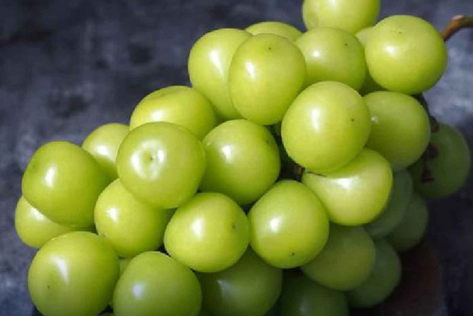 Shine Muscat grapes. Photo: Thailand Consumers Council. 