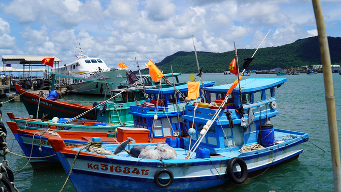 Trà Vinh là tỉnh có số lượng tàu khá ít so với các tỉnh khác trong khu vực. Ảnh: Hồ Thảo.