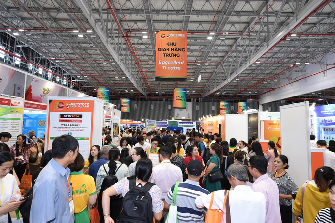 Vietstock 2024 attracts 13,624 professional visitors.