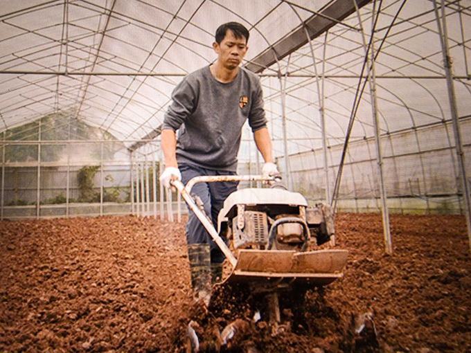 Làm đất trong nhà màng. Ảnh: Tư liệu.