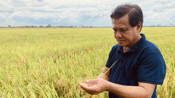 Ông Nguyễn Cao Khải, Giám đốc HTX Thuận Tiến thăm ruộng mô hình và đánh giá rất cao giải pháp của VINCO. Ảnh: Hồ Thảo.